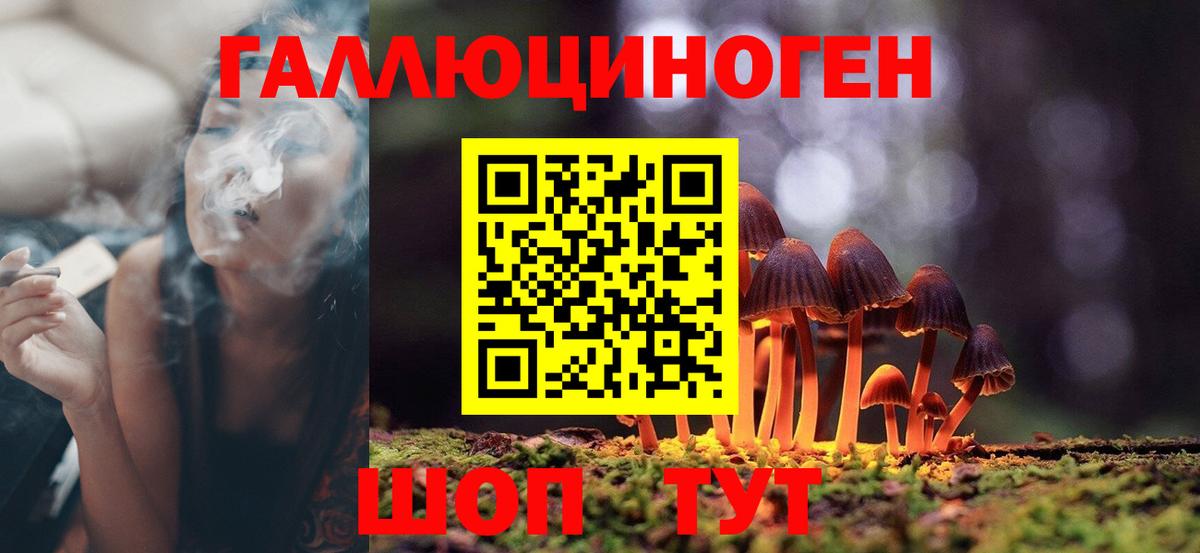Псилоцибиновые грибы Psilocybine cubensis  Вход с VPN  Псилоцибиновые грибы Magic Shrooms  где купить наркотик  Мелеуз 